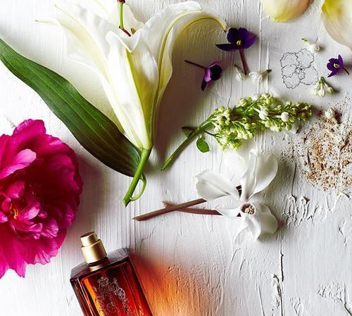 Where did the name Aromatic Fougère come from?