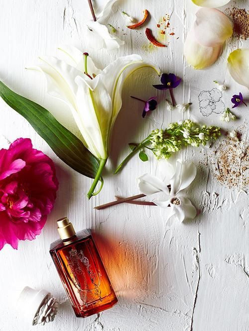 Where did the name Aromatic Fougère come from?