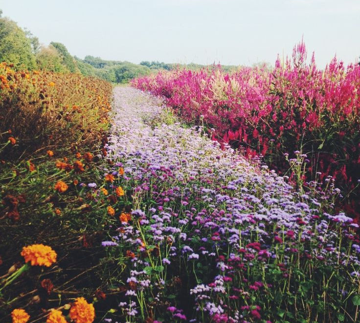 Style Essentials You Need This Spring