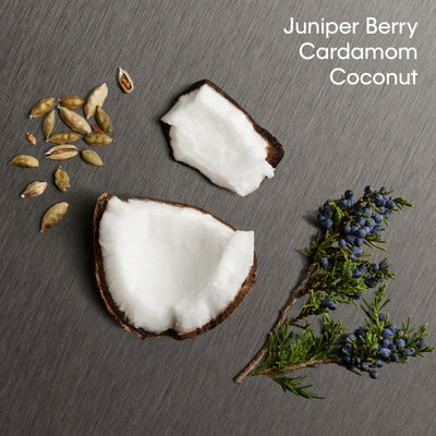 Calvin Klein Eternity For Men Aromatic Essence Parfum Intense notes