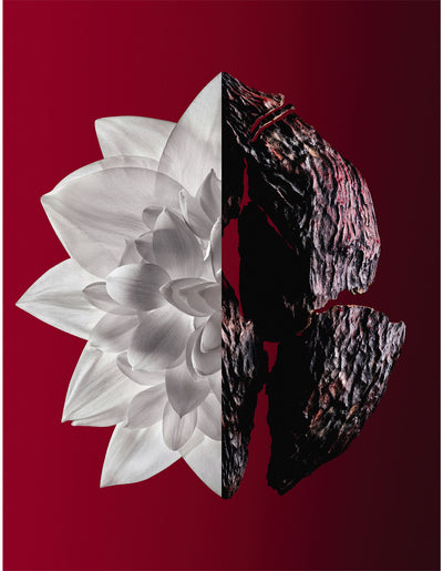 Givenchy L'Interdit Rouge Ultime Eau De Parfum Promo 1