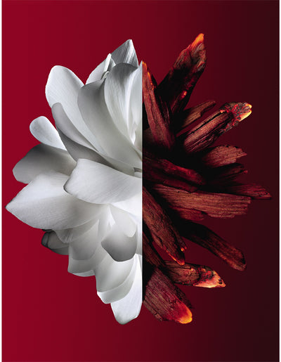 Givenchy L'Interdit Rouge Ultime Eau De Parfum 80ml  Promo 2